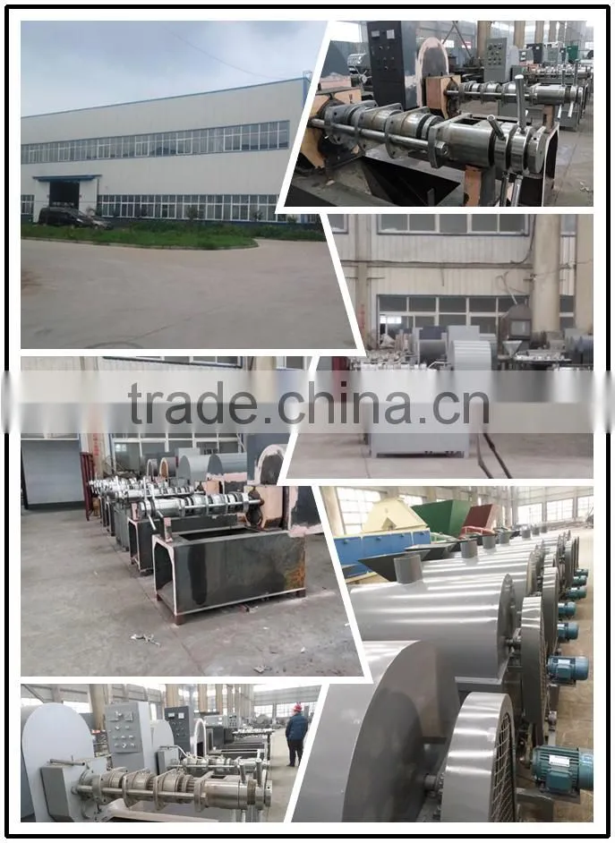 Avocado oil making machine / oil press machine