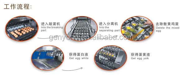 Egg Shell and Liquid Separating Machine|Chicken Egg Breaking Machine