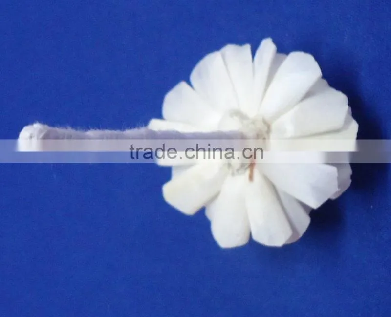 Flower for decoration