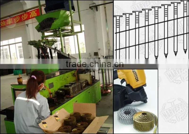 high quality galvanized roofing coil nail for pallet, 15 degree, commen coil nails