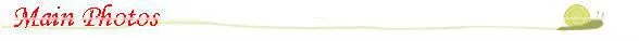 2016 Cheap MTK 8312 1024*600 HD 7 inch tablet pc with rj45 port