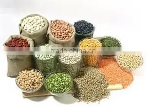 Full automatic TVP/TSP soya protein process equipment