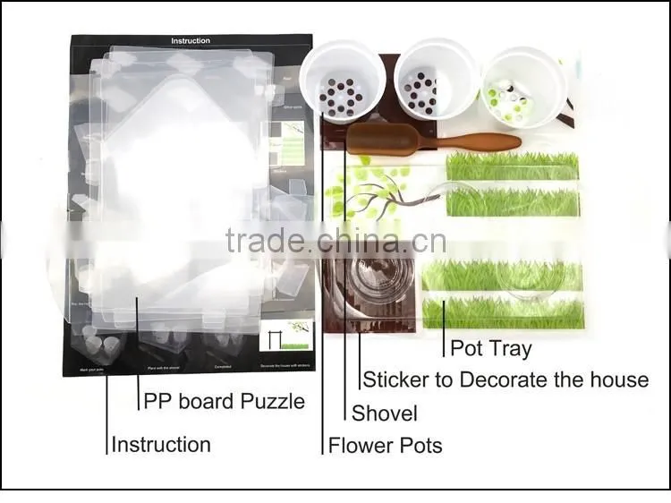 DIY Your Green House Kids Science