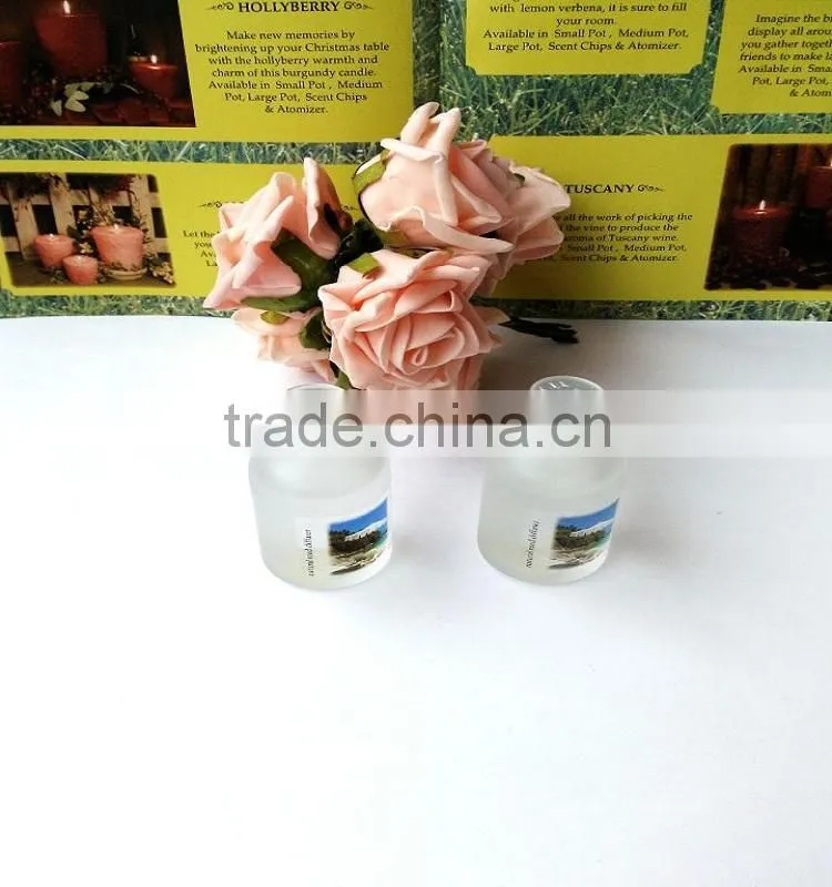 PVC Box Reed Diffuser With Wooden Sticks,Rattan Ball And Natural Dry Flowers