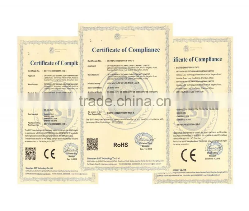 LED With CE RoHS certification house decoration wateproof DC12V 24V AC220V LED rope light