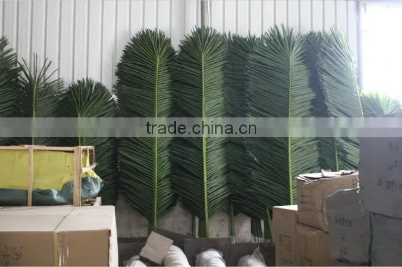 Camouflaged Fan Palm Tree Leaves