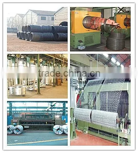 Supply poultry netting / hexagonal fence netting from top factory