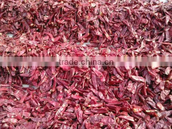 2012 hot dried chilli