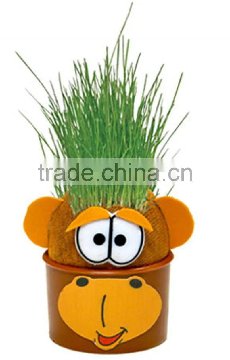 Grow-a-head Greetings