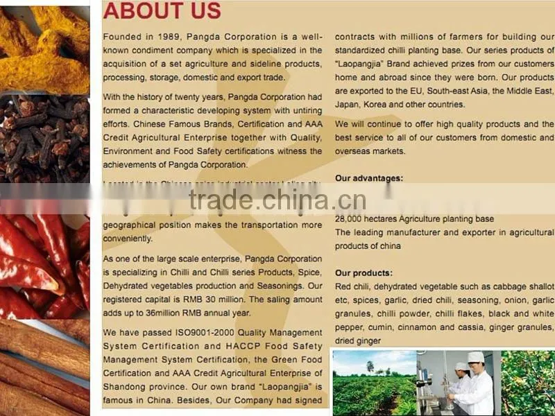 five-spice powder