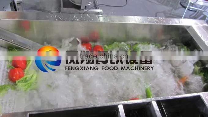 WA-2000 automatic Ozone bubble cycle high pressure vegetable washer machine