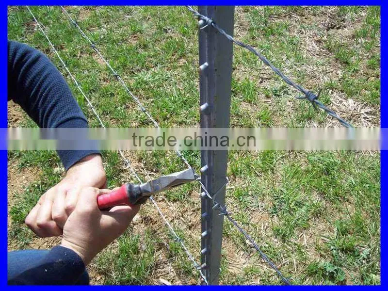 DM(ISO9001 factory)Cheap "T" fence post for farm