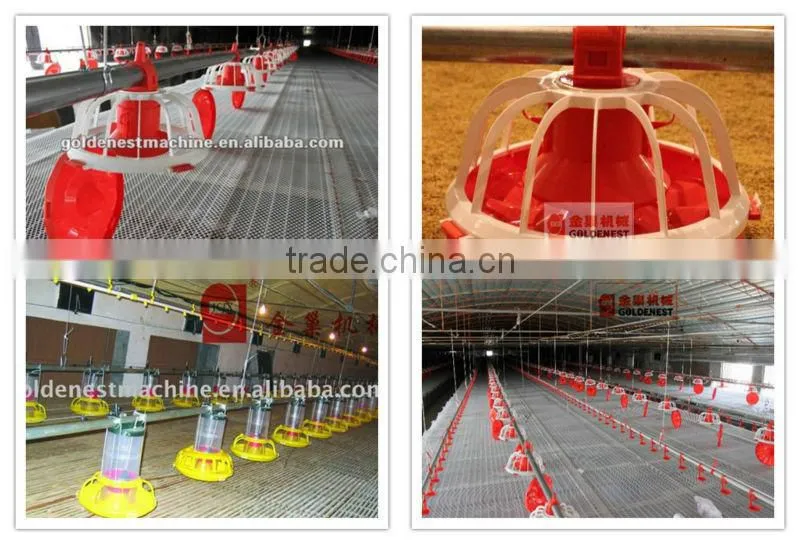 classci design anti uv plastic&stainless steel finishing pig feeder