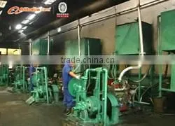 R6105ZP Ricardo diesel engine good quality