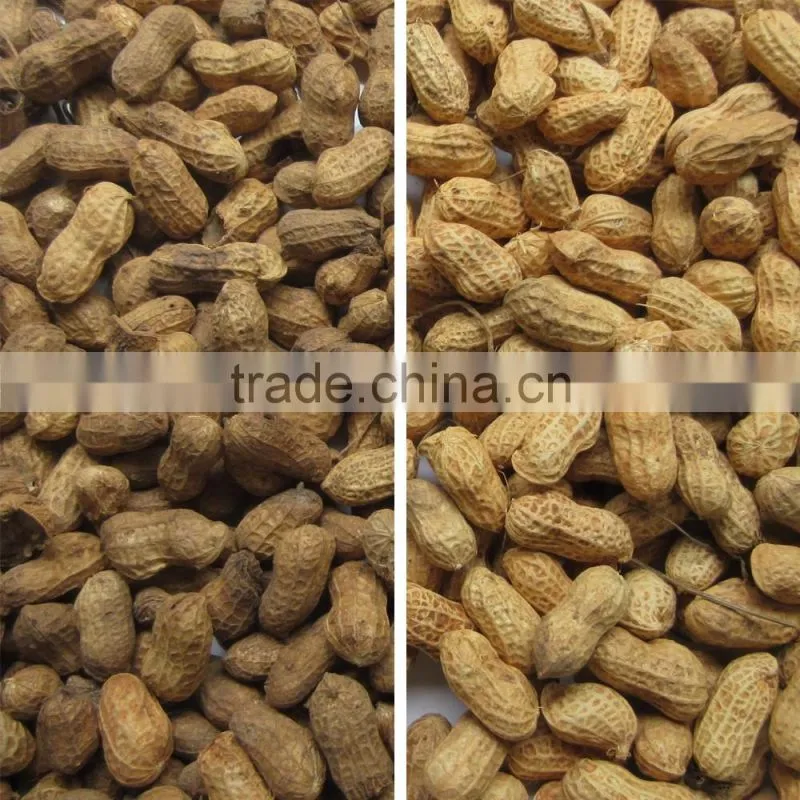Grain,Wheat,Rice,Seeds,Dehydrated Vegetable,Recycle Plastic Color Sorter