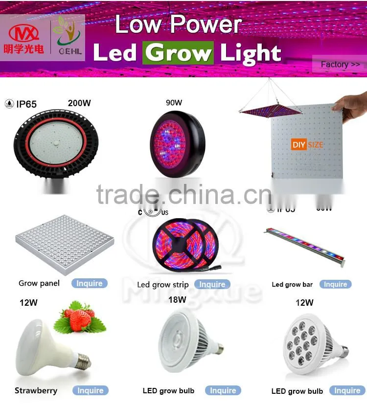 Usb Table Lamp LED Grow Light Mini LED Bulb Lights E27 LED Grow Light