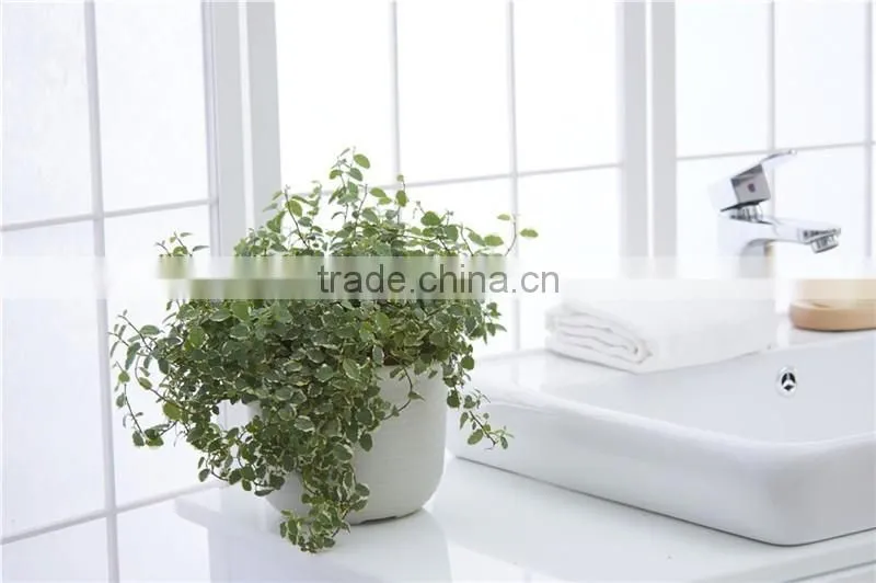 Plastic Round succulent Plant Pot/Cactus Plant Pot Flower Container