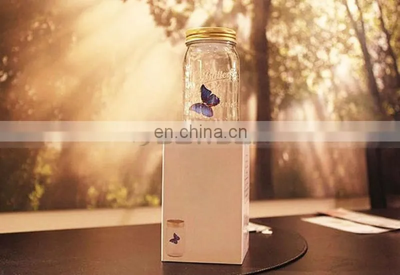 Factory Direct Sell Popular Attractive Butterfly Glass Jars
