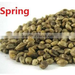 hemp seed