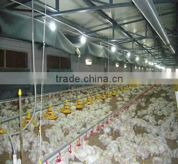 Broiler and Breeder Feeding System
