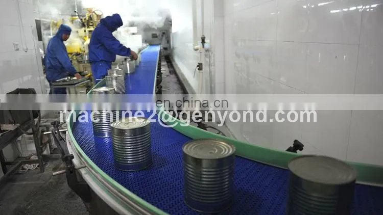 Factory Genyond fruit pineapple tomato peach canning sealing machine canned fruits processing plant production line price