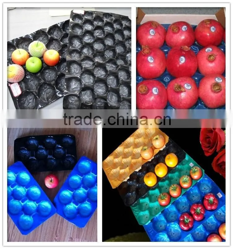 professional manufacture fruit packaging tray with holes cup holder