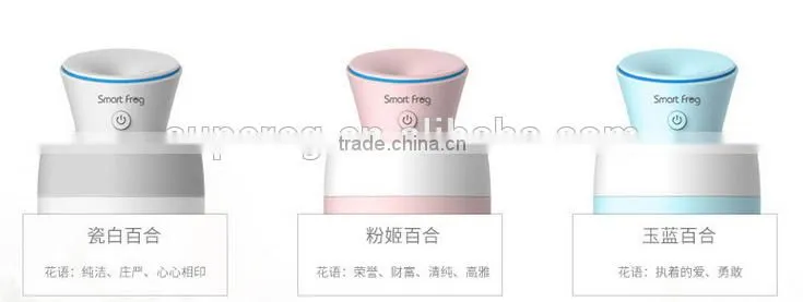 Small Cool Bottle Humidifier Silence Aroma Diffuser Tabletop Air Refresher Aromatherapy Essential Oil Humidifier Air Purifier