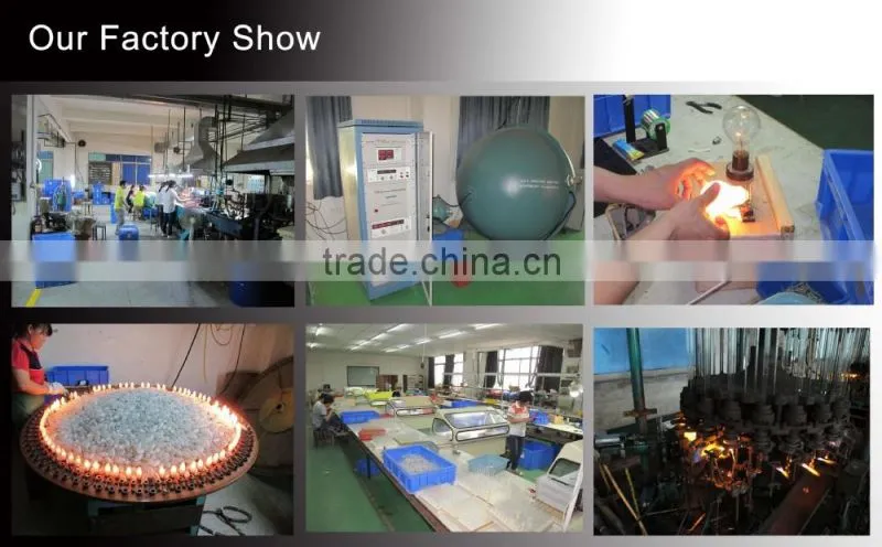 2W 4W 6W 8W LED Filament Bulb