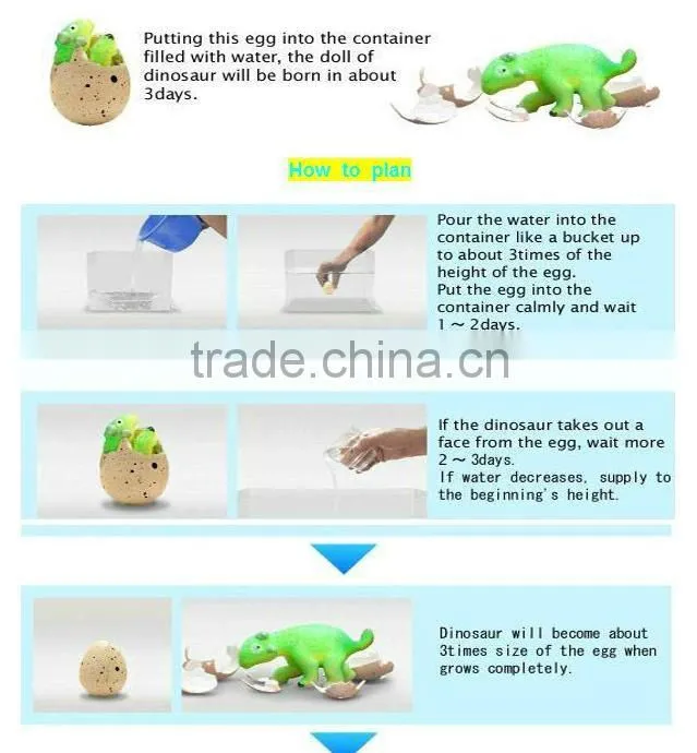 Hatching poultry egg Growing toys