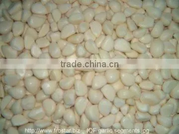 Top sale frozen garlic dice