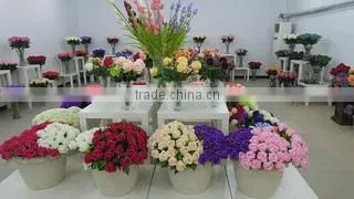 Tianjin Super Star Technology Development Co., Ltd. company overview - view 1
