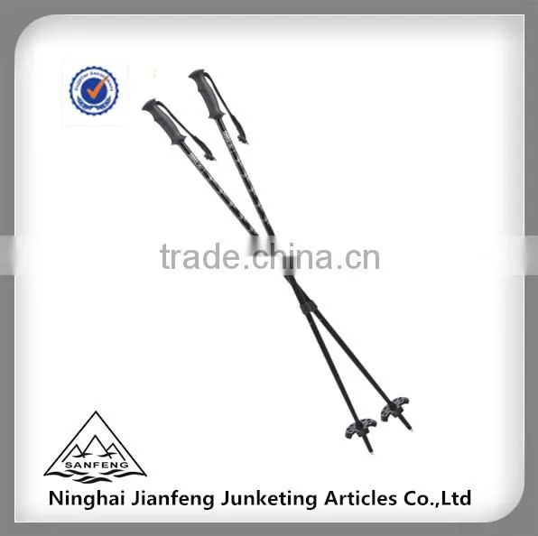Direct Factory Export Carbon Ski Pole With GS Certificate