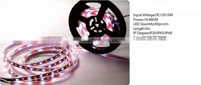 4.8W/M DC12V IP20/IP65/IP68 SMD3528 five color LED strip lighting