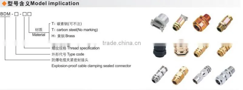 BDM Brass Explosion-proof cable connector