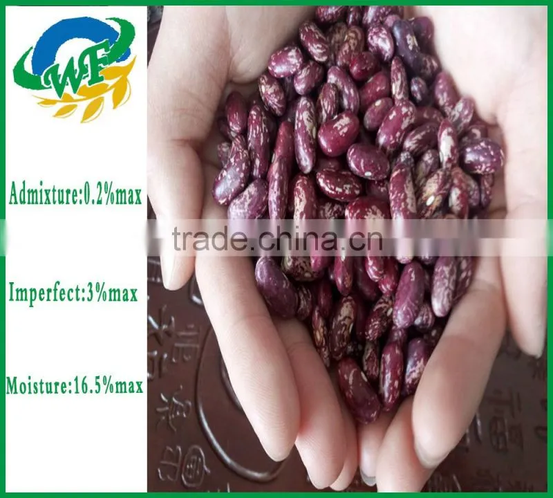 Chinese purple Speckled Kidney beans for sale