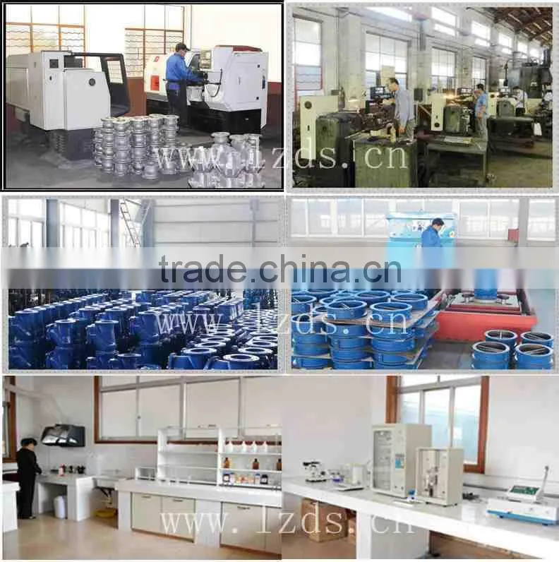 Stainless Steel Wafer Type Lift Check Valve PN40