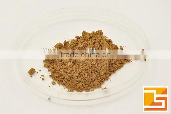 top quality black angelica p.e with ligustilide