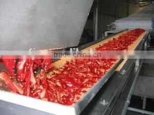 vegetable and fruit drying conveyor belt dryer equipment machine for sale