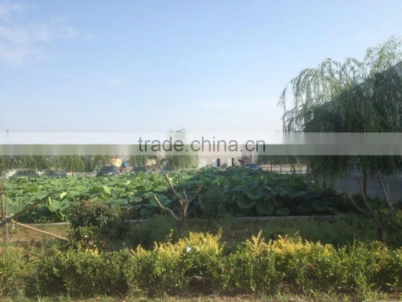 anhydrous calcium chloride , bulk calcium chloride , calcium chloride suppliers
