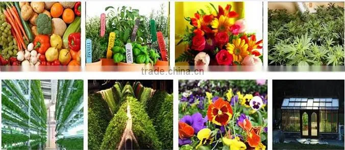 Full spectrum cob led plant growth light 300w 400w 800w battery operated led plant indoor light