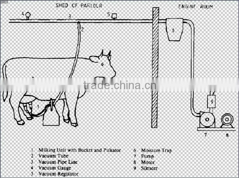 KLN Brand pipeline type milking machine with two buckets