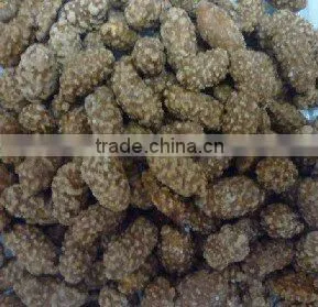 coco coated peanut