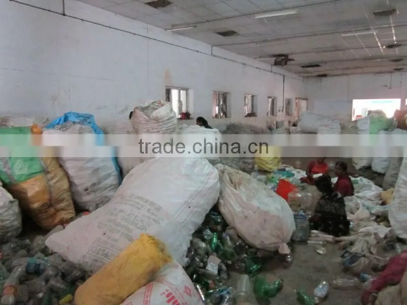 Recycled fiber grade PET chips washed