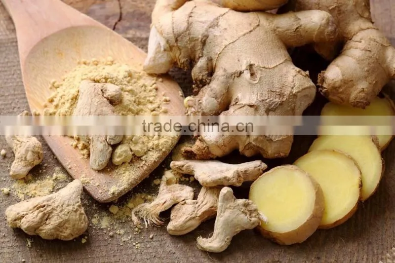 Exporters of Dry Ginger/Dehydrated Ginger