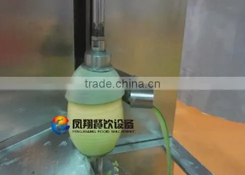 China made industrial powerful FXP-66 melon skin peeling machine
