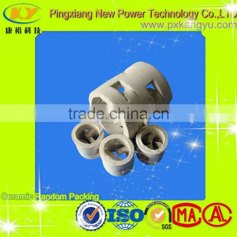 Anti-Acid & High Temperature Endurance Ceramic Pall Ring