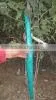 Tree Guard
