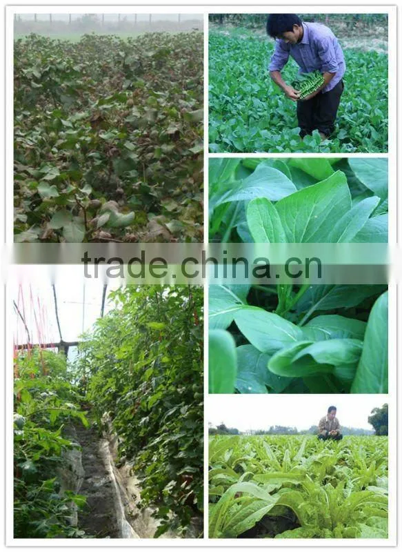 100% water soluble Seaweed based fertilizer,bio enzyme,water plant fertilizer