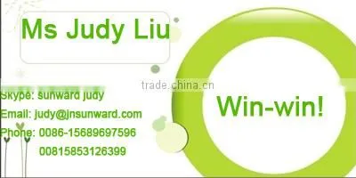 CE-certificated atomatic pillow paking machine