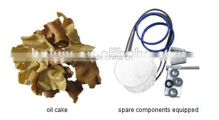 Malaysia customer love cocoa bean hydraulic oil press machine